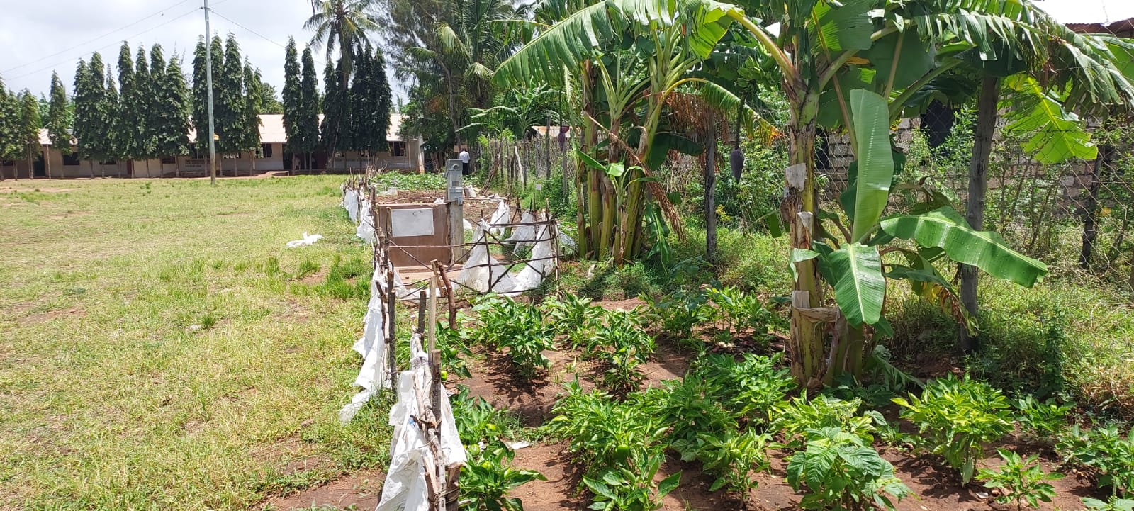 Timboni Garden
